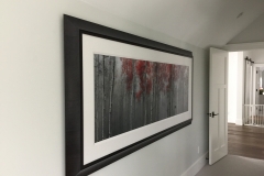 large-format-Peter-Lik-Boulder-home