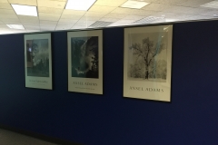 Denver, CO  office hallway 5