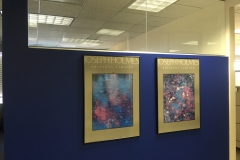 Denver, CO  office hallway 6