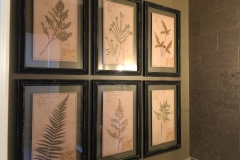antique botanicals