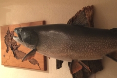 Trout mounting